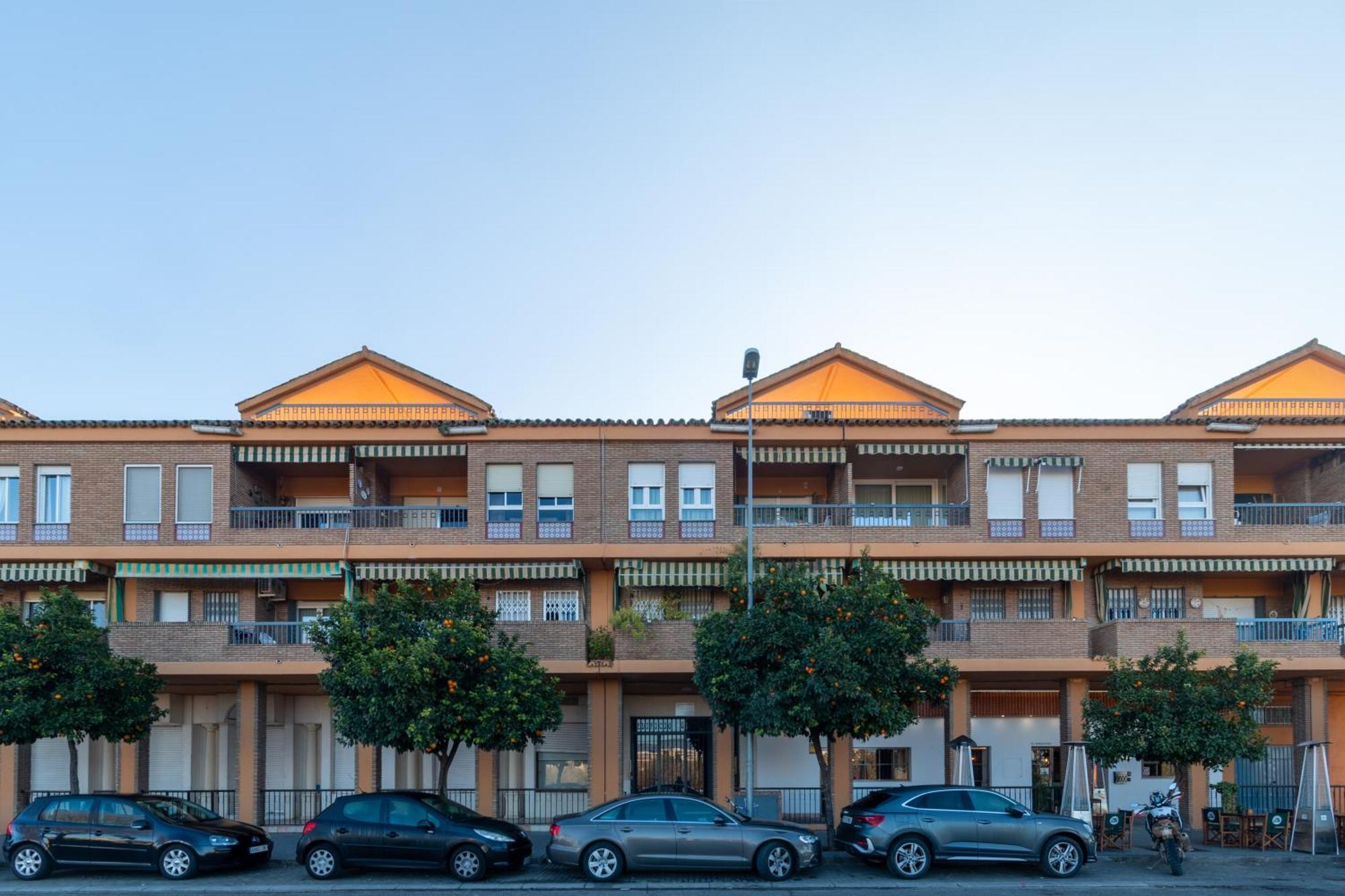 Atico Puente Romano Parking Gratuito Cordoba Dış mekan fotoğraf